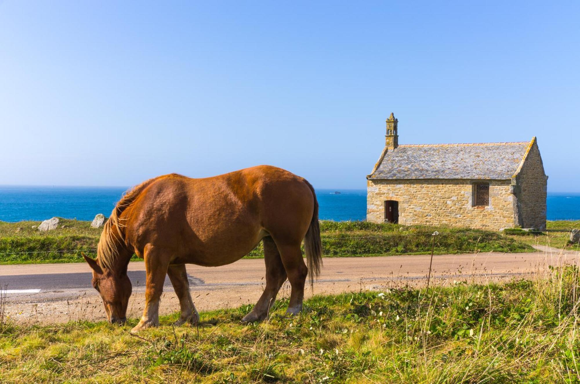 Ty Raok - Jolie Maison A Lilia A 200M De La Mer Villa Plouguerneau Dış mekan fotoğraf